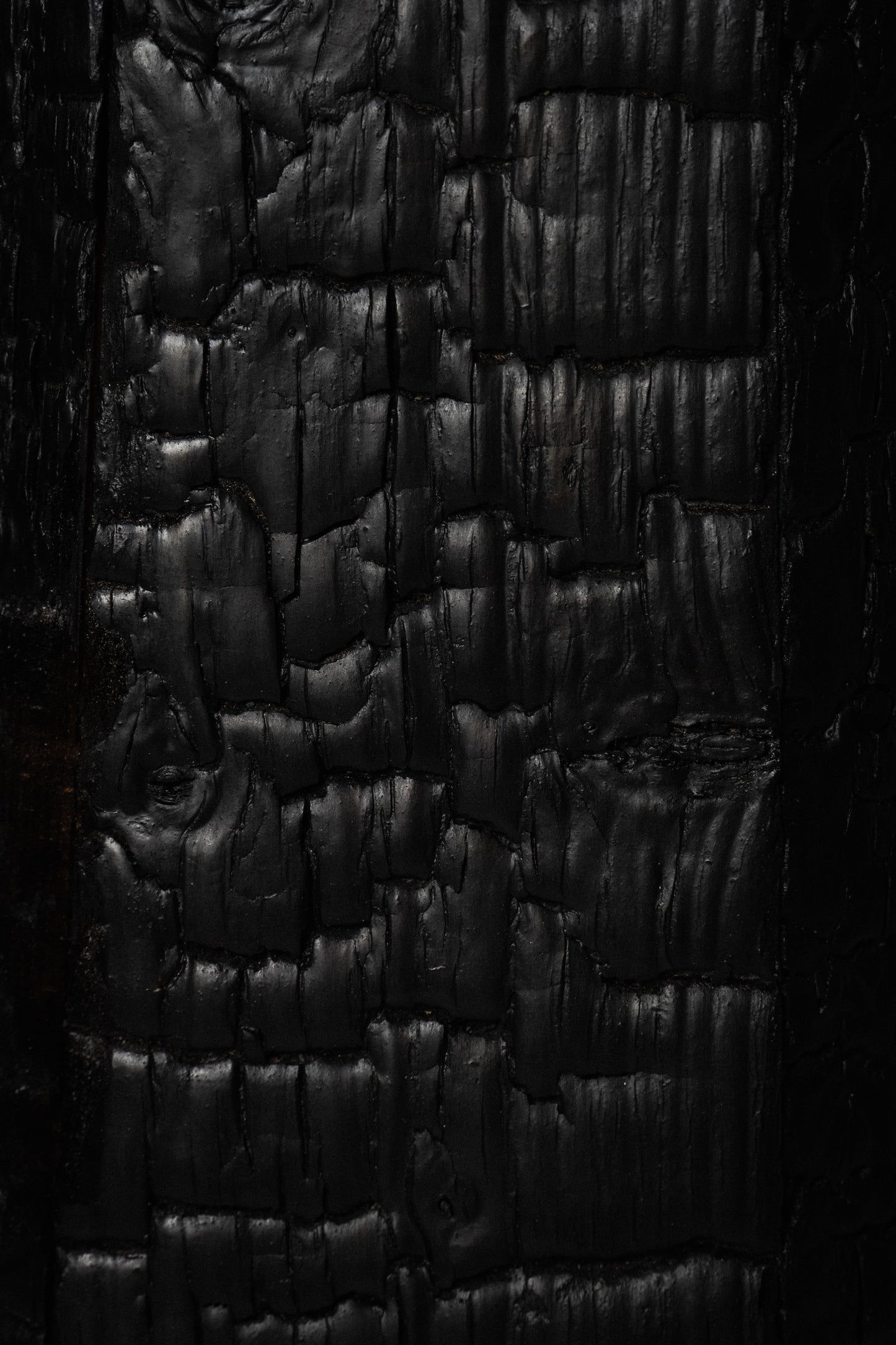 Burnt wood floor lamp