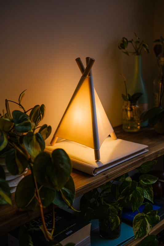 TIPI