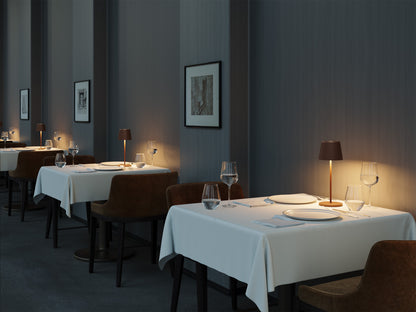 PAOLA 300 table
